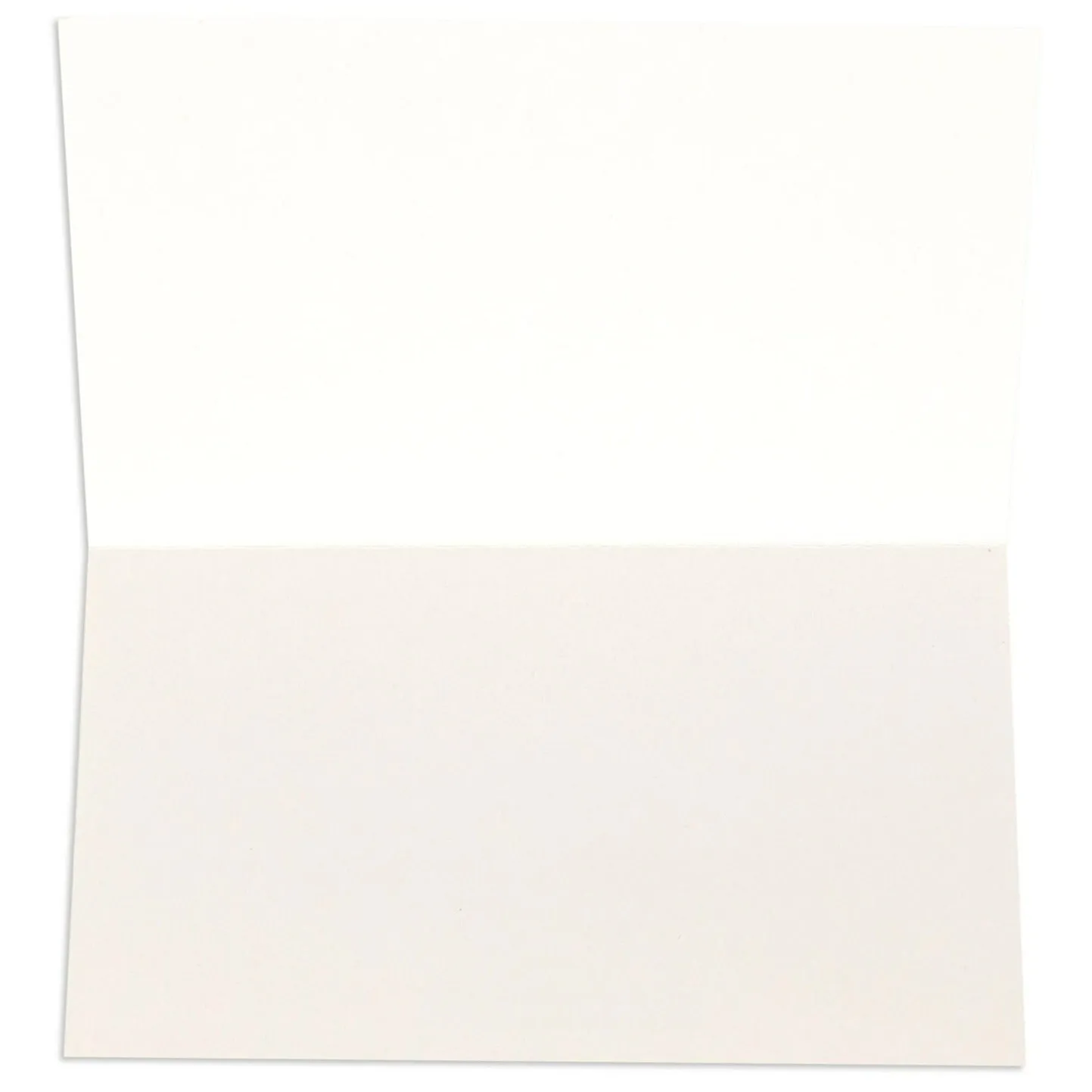 Little World Changers Assorted Blank Mini Note Cards - Pack of 12